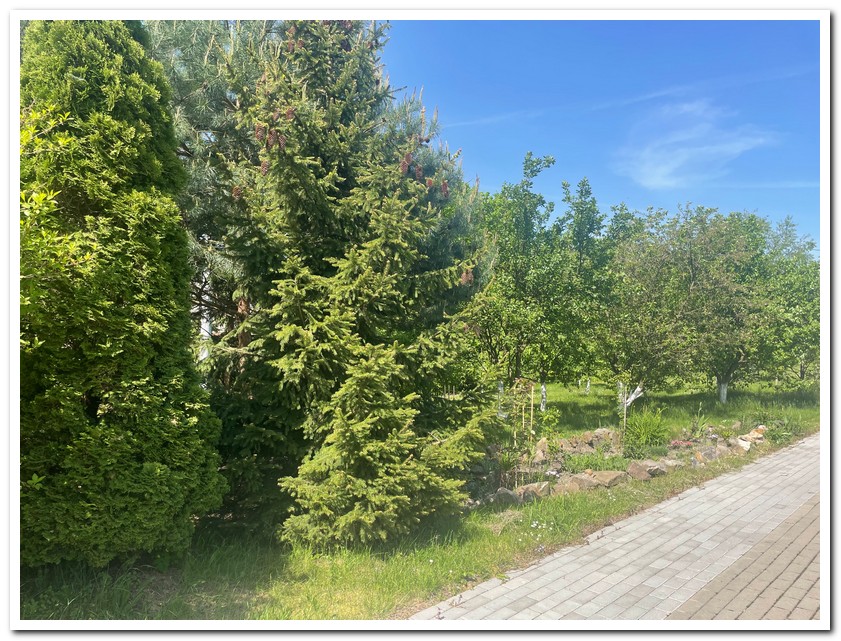 Dom Opieki Kielce - Zielone Zacisze